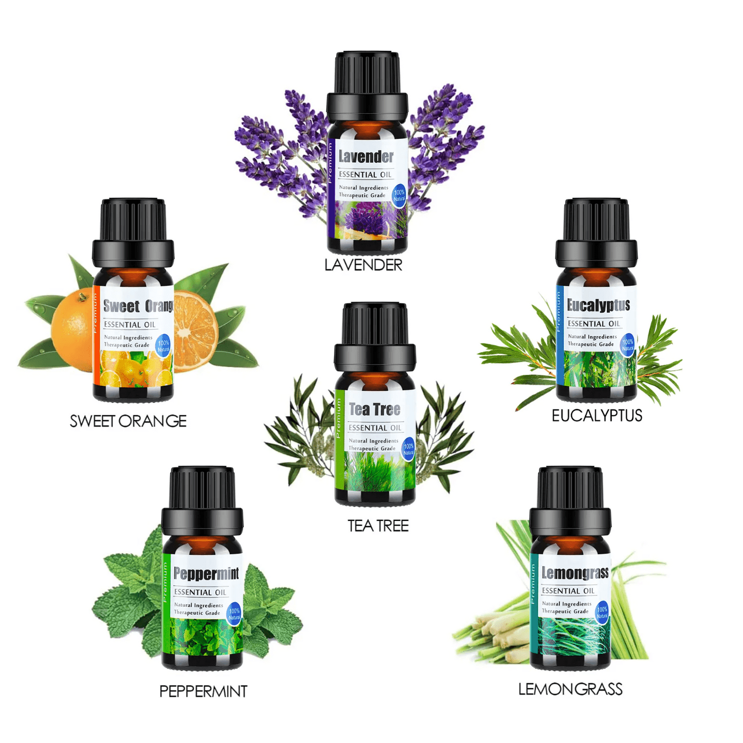 Essential Oils (10 ml)