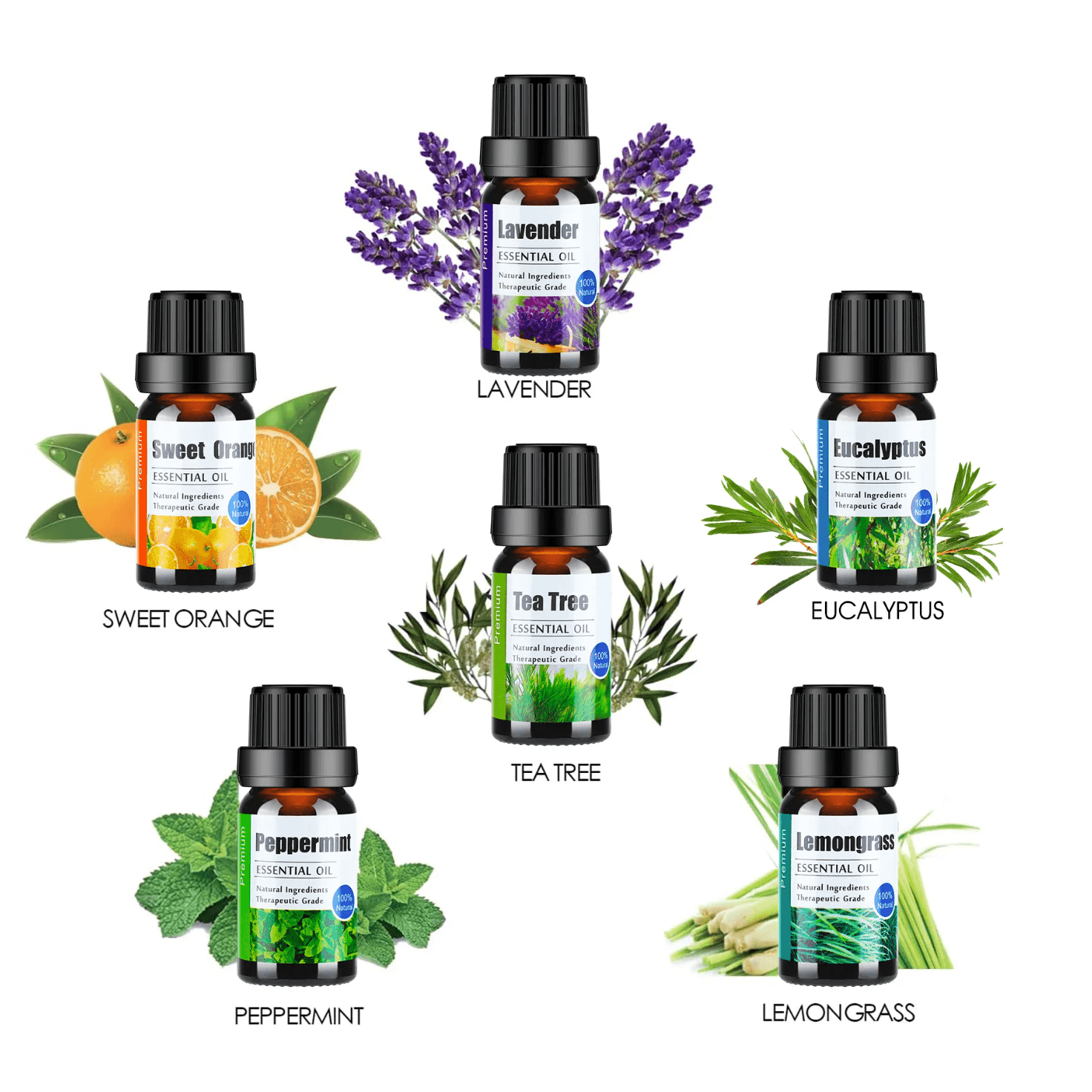 Essential Oils (10 ml)