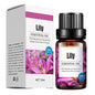 Essential Oils (10 ml)